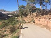 Proteccin Civil y la Brigada Forestal limpian el arbolado que ocupaba la va en el Camino de los Mortolitos