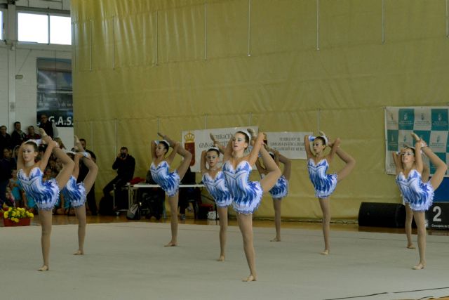 Un total de 120 gimnastas compitieron en el I Torneo Regional de Gimnasia Estética de Grupo - 2, Foto 2