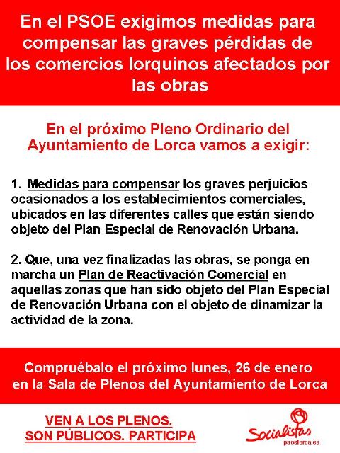 El PSOE demuestra que en otros Ayuntamientos sí se está ayudando a los comercios afectados por las obras - 3, Foto 3
