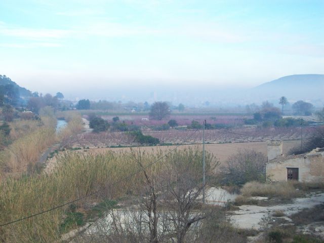 Ecologistas en Acción critica el bando municipal sobre quemas frente a las heladas - 2, Foto 2