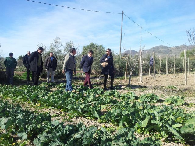 10 lorquinos participan en el taller de agricultura ecológica - 2, Foto 2