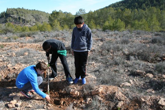 El grupo Gepnace del CEIP Ciudad de Begastri realiza una jornada de reforestación en los montes de Cehegín - 2, Foto 2