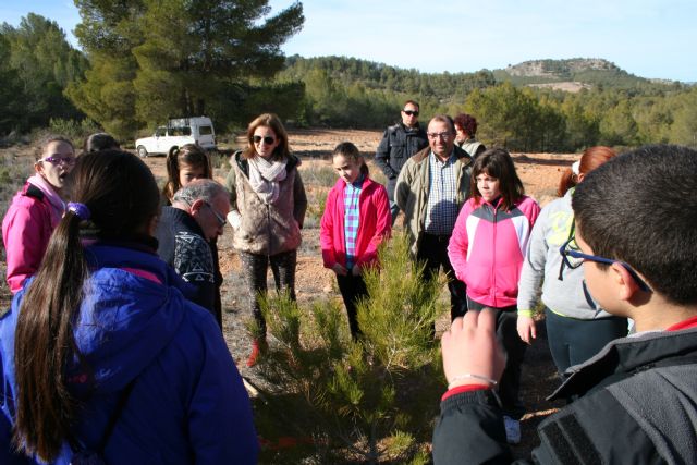 El grupo Gepnace del CEIP Ciudad de Begastri realiza una jornada de reforestación en los montes de Cehegín - 4, Foto 4