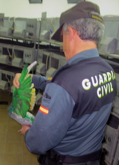 La Guardia Civil esclarece la sustracción de más medio centenar de palomos deportivos, valorados en 20.000 euros - 1, Foto 1