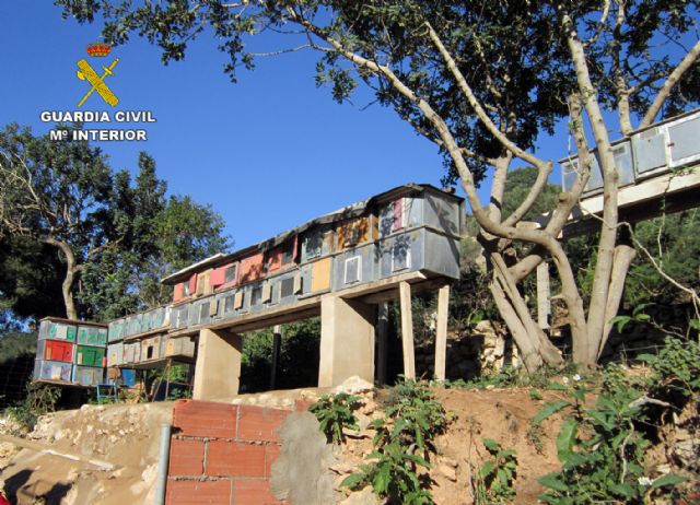 La Guardia Civil esclarece la sustracción de más medio centenar de palomos deportivos, valorados en 20.000 euros - 5, Foto 5