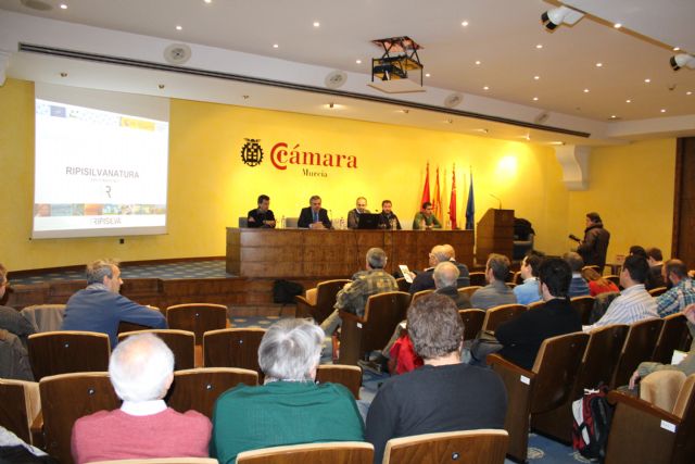 La Confederación Hidrográfica potenciará la recuperación del bosque de ribera en los cauces del Segura - 3, Foto 3