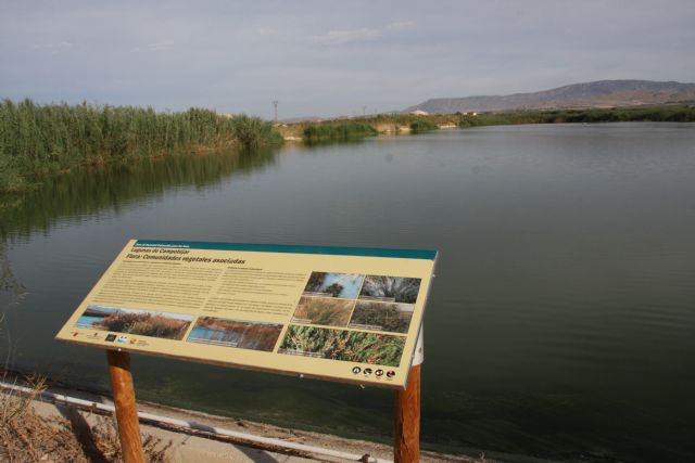 Molina de Segura celebra el Día Mundial de los Humedales en las Lagunas de Campotéjar - 2, Foto 2