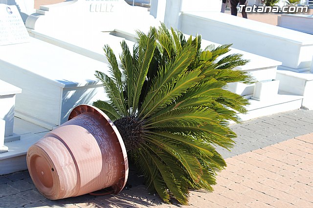 El enterrador de Totana hace un llamamiento a los propietarios de las fosas para que revisen las mismas tras el episodio de vientos - 10