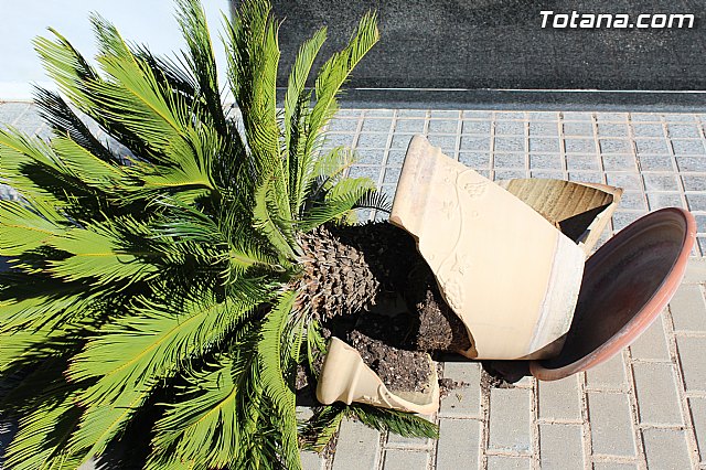 El enterrador de Totana hace un llamamiento a los propietarios de las fosas para que revisen las mismas tras el episodio de vientos - 13