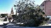 El 1-1-2 ha gestionado hoy 44 incidentes relacionados con el viento en la Región de Murcia