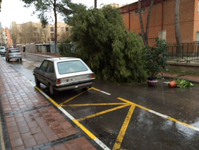Han pedido la comparecencia del concejal de tráfico y seguridad ciudadana - 2, Foto 2
