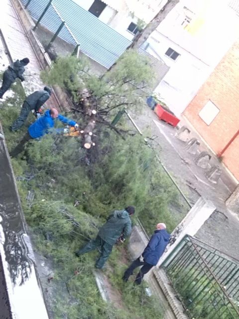 Han pedido la comparecencia del concejal de tráfico y seguridad ciudadana - 3, Foto 3