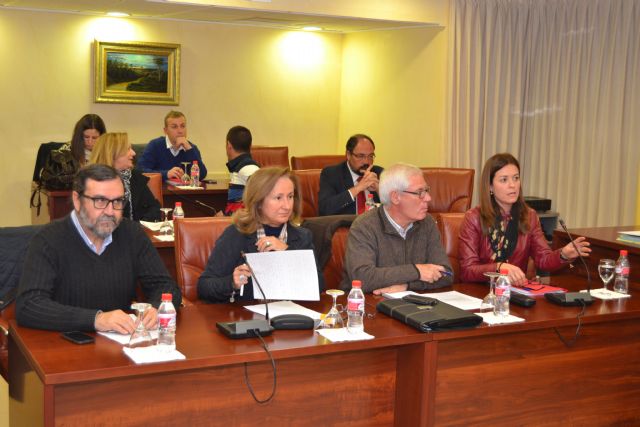 Según los populares, el PSOE debería apoyar las políticas sensatas que aplican en materia sanitaria - 1, Foto 1