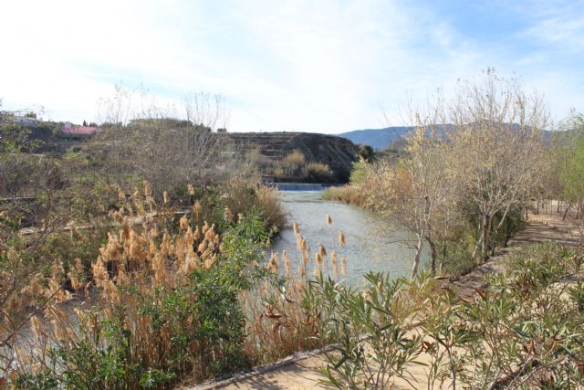 Analizan cómo mejorar la respuesta de la Administración ante los daños al medio ambiente - 1, Foto 1