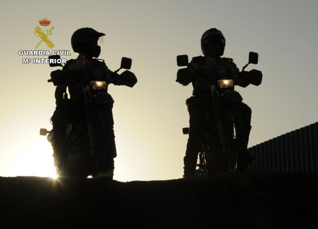 La Guardia Civil detiene a 20 integrantes de una red dedicada al tráfico de productos hortofrutícolas contaminados a Rusia - 1, Foto 1