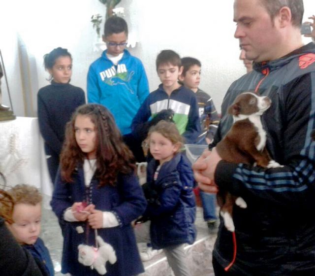 Las Pullas de Alguazas honró a su patrón San Antón con la tradicional bendición de mascotas y roscos de pan - 1, Foto 1