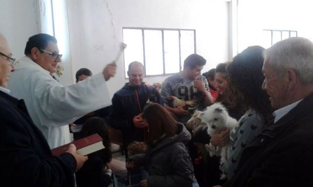 Las Pullas de Alguazas honró a su patrón San Antón con la tradicional bendición de mascotas y roscos de pan - 2, Foto 2