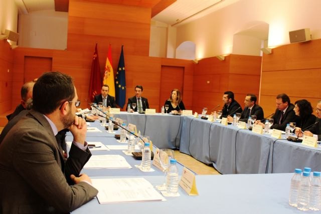 El Consejo Regional de Cooperación Local aprueba el Plan de Obras y Servicios con una inversión de cinco millones de euros - 1, Foto 1