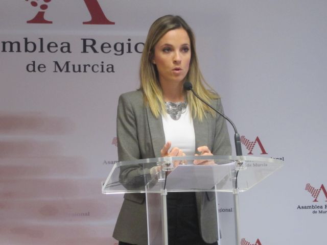 El Grupo Popular destaca el consenso alcanzado en la Ley de Perros de Asistencia - 2, Foto 2