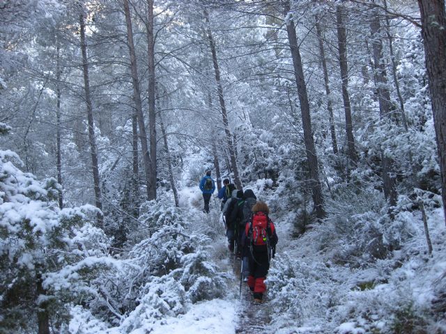 The hiker club Totana held this weekend hiker three routes where snow was the main character, Foto 3