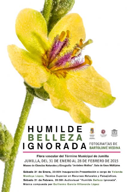 Los Museos Arqueológicos de la Región de Murcia y la obra Historias de Amor, Amor en la Historia citas destacadas de la agenda cultural - 3, Foto 3