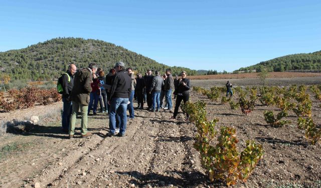 Convenio para promocionar las visitas de turistas de cruceros al Museo del Vino de Bullas - 2, Foto 2