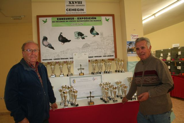 El XXVIII Concurso de Palomos bate record de participación con más de 300 ejemplares - 1, Foto 1