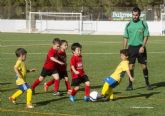 El C.D. Algar destaca en la categora benjamn A