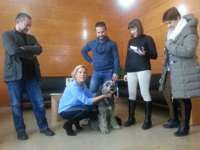 El viernes comienza la formación sobre la tenencia responsable de perros en el municipio de Murcia - 1, Foto 1