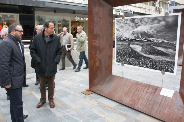 La naturaleza vista desde el objetivo de Salgado se asoma a Murcia - 1, Foto 1