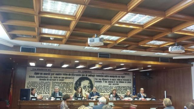 President of ERDF appear in the Senate and exposes the needs of those affected by rare diseases, Foto 3