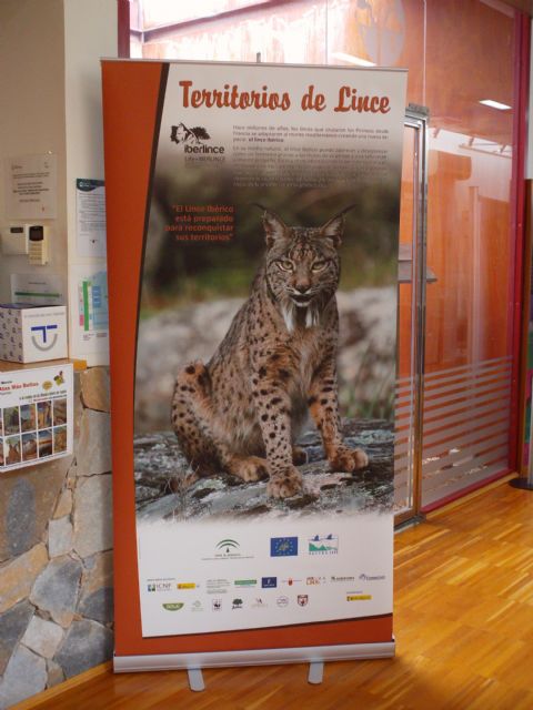 El Centro de Visitantes El Valle acoge una exposición itinerante sobre el lince ibérico hasta finales de marzo - 1, Foto 1