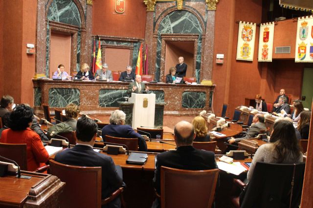 La Asamblea Regional aprueba por unanimidad una moción de apoyo y reconocimiento a las Jornadas Nacionales de Exaltación del Tambor y el Bombo - 3, Foto 3