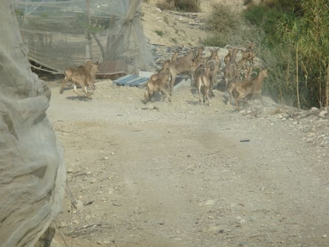 Propietarios y agricultores denuncian que no se ha contado con ellos para la D. O., Foto 1