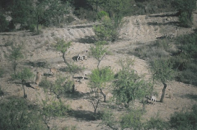 Propietarios y agricultores denuncian que no se ha contado con ellos para la D. O., Foto 2