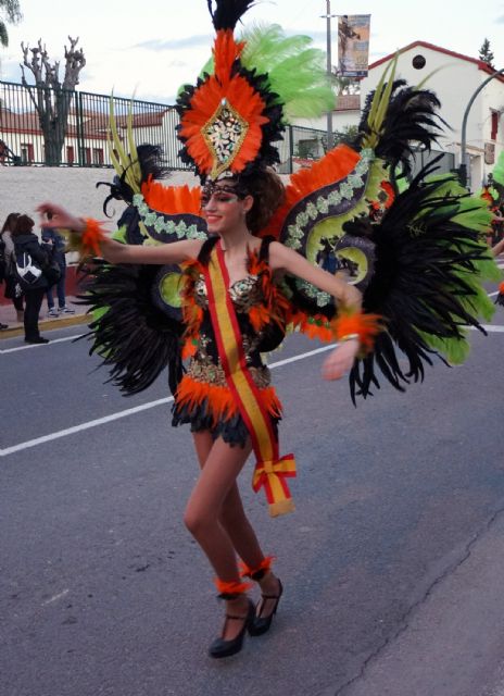 Cerca de 1.300 personas desfilaron en el Carnaval de Las Torres de Cotillas - 1, Foto 1