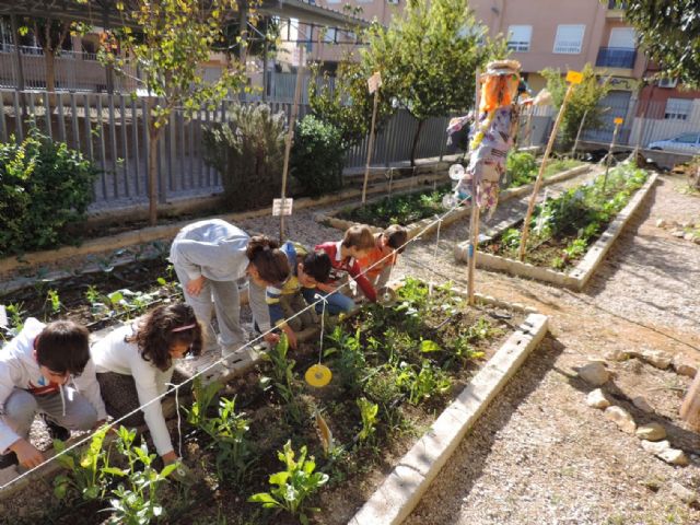 El colegio Infanta Cristina de Puente Tocinos gana el primer premio al huerto escolar ecológico de la región - 1, Foto 1