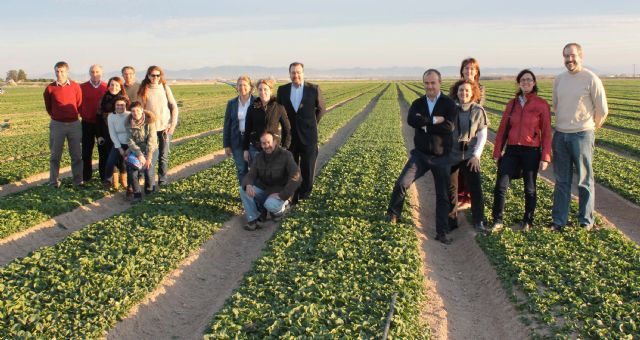 La falta de soluciones fitosanitarias en cultivos menores lleva a pérdidas directas de 19 millones de euros en Murcia y 1.000 M. en la UE - 1, Foto 1