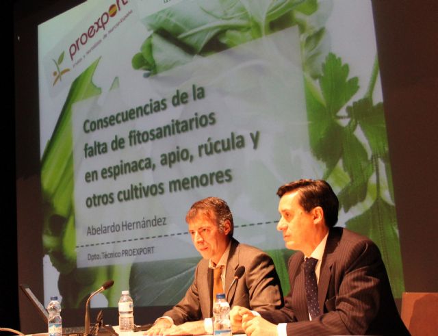 La falta de soluciones fitosanitarias en cultivos menores lleva a pérdidas directas de 19 millones de euros en Murcia y 1.000 M. en la UE - 2, Foto 2