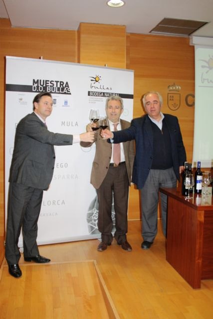 La Denominación de Origen de Bullas seleccionará en cata a ciegas los mejores vinos  de la última cosecha - 1, Foto 1