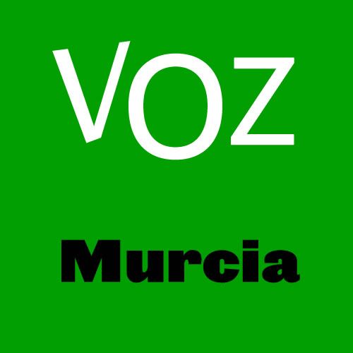 VOZ MURCIA presenta sus candidatos a la Asamblea Regional y ayuntamiento en las primarias internas de Vox en Murcia - 1, Foto 1