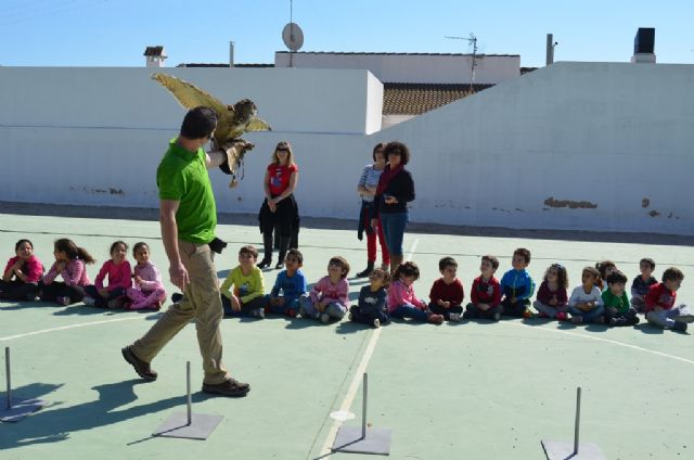 Medio Ambiente celebra el Día Mundial de la Vida Silvestre con una exhibición de aves en un colegio - 2, Foto 2