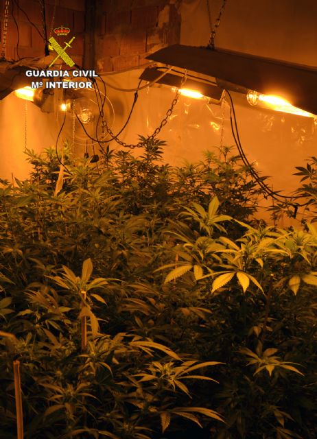 La Guardia Civil desmantela dos plantaciones de marihuana en Murcia - 1, Foto 1
