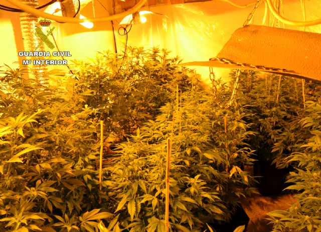 La Guardia Civil desmantela dos plantaciones de marihuana en Murcia - 3, Foto 3