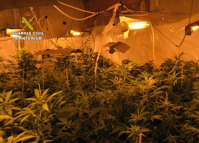 La Guardia Civil desmantela dos plantaciones de marihuana en Murcia - 5, Foto 5