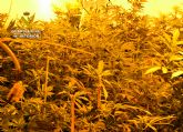 La Guardia Civil desmantela dos plantaciones de marihuana en Murcia