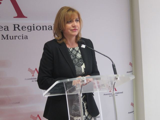 El Grupo Popular destaca el consenso y la participación social con los que se trabaja para la ley de Mediación Familiar y la Renta Básica de Inserción - 1, Foto 1