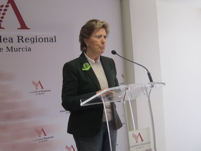 El Grupo Popular destaca el consenso y la participación social con los que se trabaja para la ley de Mediación Familiar y la Renta Básica de Inserción - 2, Foto 2