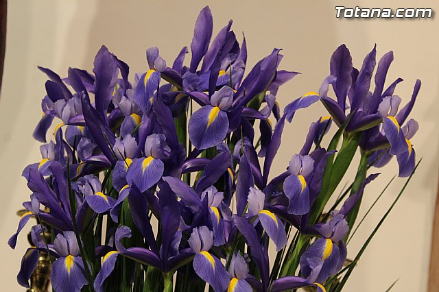 Los vecinos de Totana muestran su devocin al Cristo de Medinaceli - 31