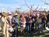 Turismo trae a la Regin a periodistas y agentes de viajes para promocionar la floracin en Cieza y el Valle de Ricote